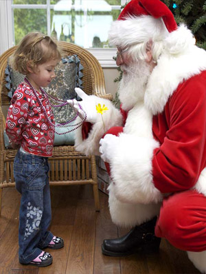 Дед Мороз и девочка
