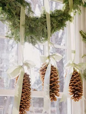 крупные сосновые шишки 