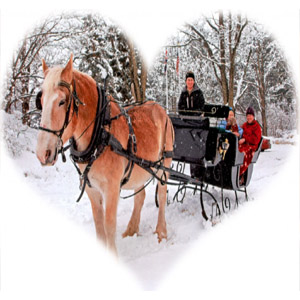 новогодняя рогулка