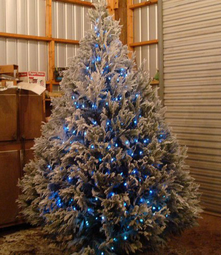 елка из заколдованного леса