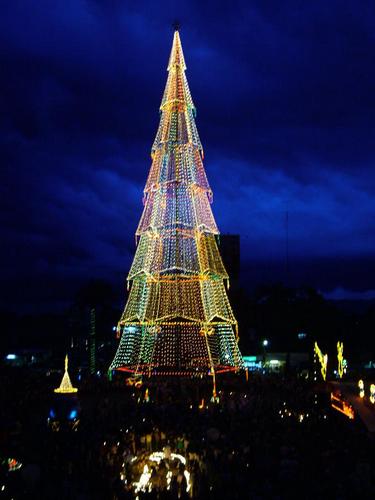 новогодняя ёлка