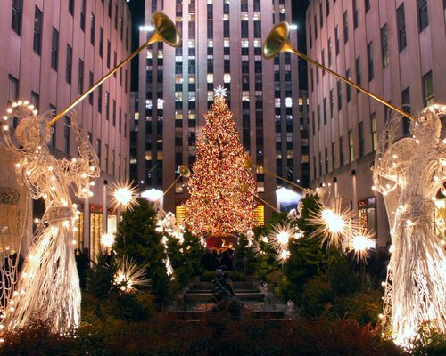 Самые необычные новогодние елки мира: история и современность