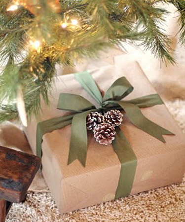 шишки и еловые ветки