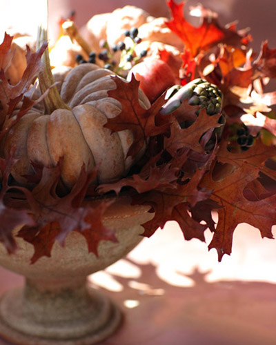 тыквы с листьями