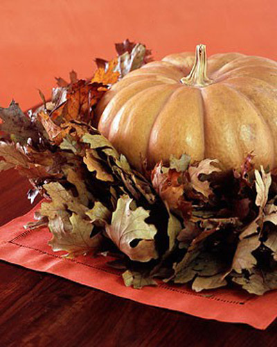 тыква в листях