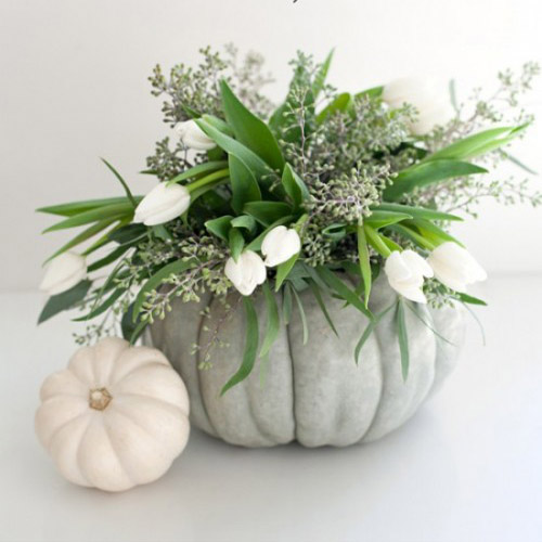 тыква с белыми цветами