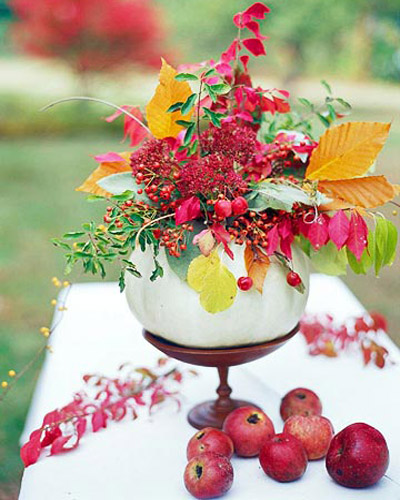 веточки деревьев