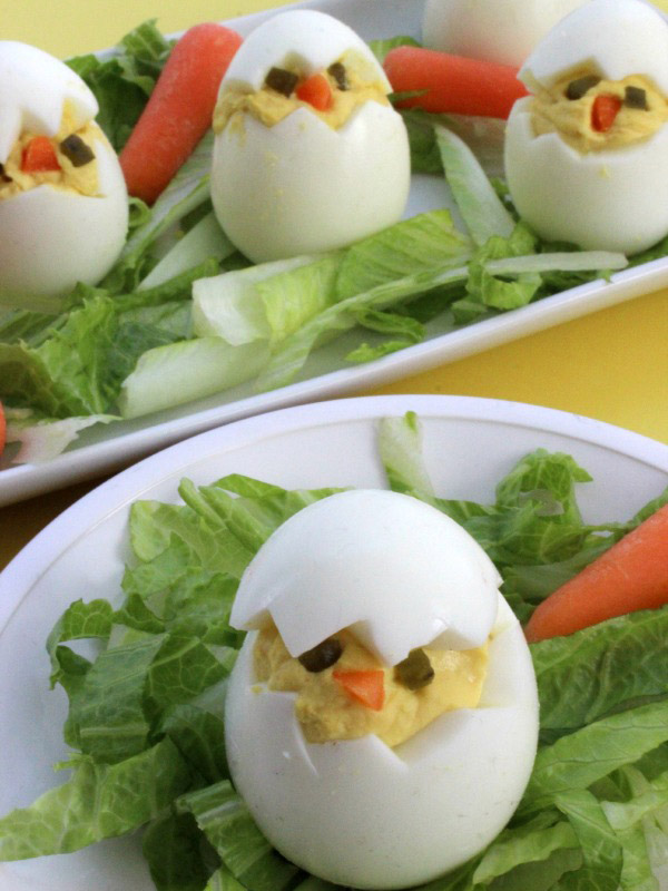 цыплята из яиц