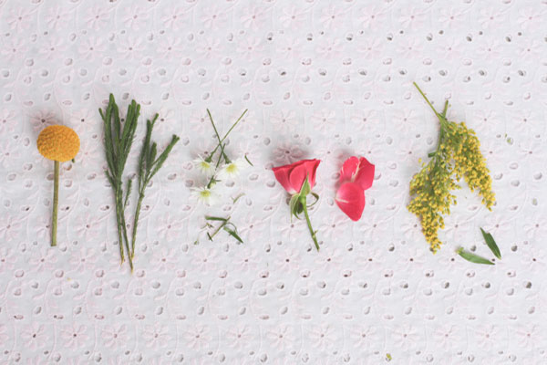 цветы и листики