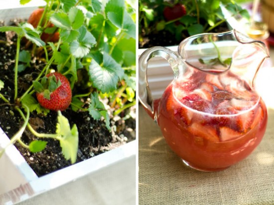 клубничный напиток