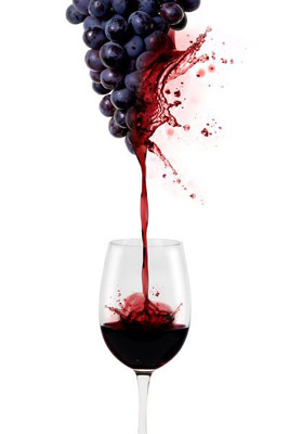 Домашний квест Терпкие гроздья ярости