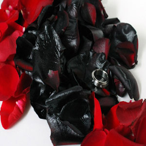 Лепестки роз