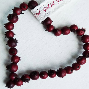 съедобная гирлянда