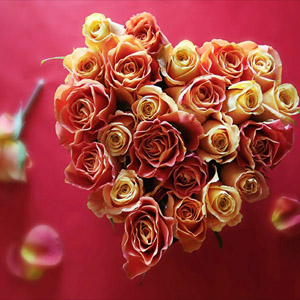 сердце из роз