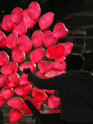 сердечное желание