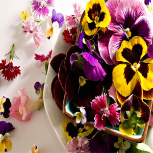 цветочные композиции