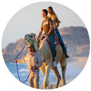 Верблюжьи бега