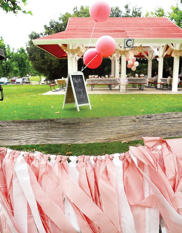 вечеринка в парке на 30 лет