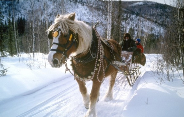 хобби вечеринка на 60 лет