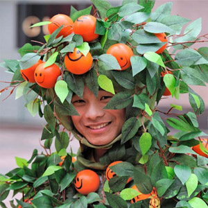 живое дерево