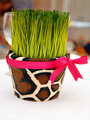 Вечеринка в стиле африканского сафари: костюмы, меню