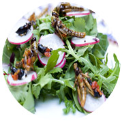 Салат от Деметры