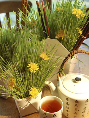 летнее чаепитие