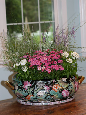 полевые цветы