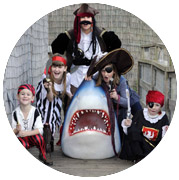 пираты с акулой