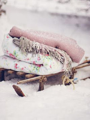одеяла на зимний пикник
