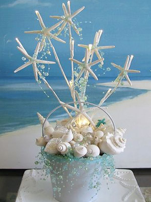 морские звезды и ракушки