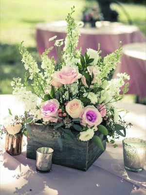 сезонные цветы