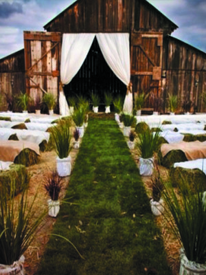 тюки с ароматной травой