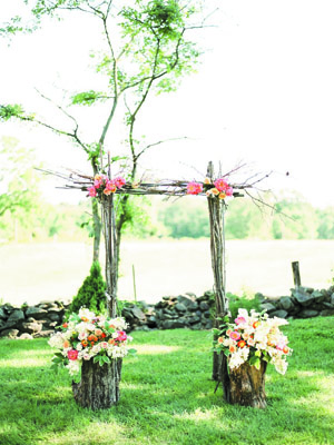 Арка из веток 