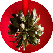 Поцелуй под рождественской омелой: традиции и современность