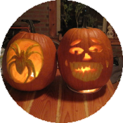 Как подготовиться к встрече Хэллоуина