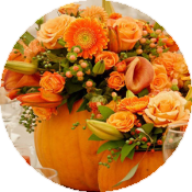 День Благодарения: стартует зимний праздничный сезон 