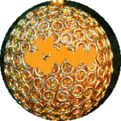 Как правильно украсить новогоднюю елку?