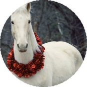 Угождаем Деревянной Синей Лошади