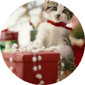 Как создать новогоднее настроение или 10 причин, почему мы радуемся зиме