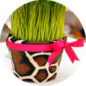 Вечеринка в стиле африканского сафари: костюмы, меню